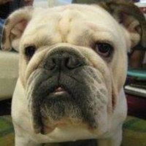 Meet your Posher, Esther